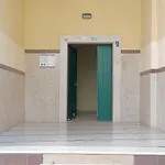 Cozy Apartment, Free Parking Near Dajti Cable Car, Bunk'art * Tirana
