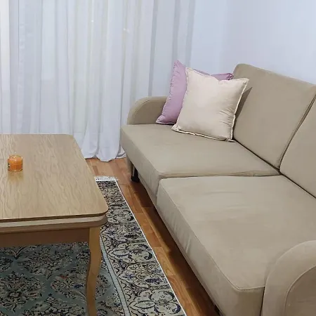 Cozy & Fresk Bunk'art